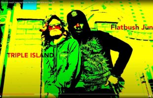 Triple Island "Flatbush Jungle" feat .Neysa Malone, Cuppa, Rells, Tony Al (Music Video)