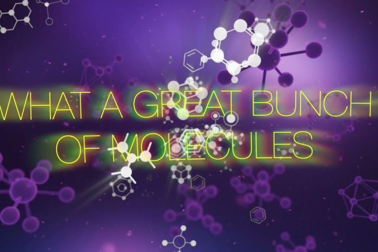 Patrick Ames – Great Bunch of Molecules