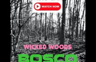 BOSCO "Wicked Woods" (Music Videos)